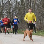 Pas koji je voleo trejlove: Ne propustite 6. izdanje trke u Inđiji i obavezno povedite ljubimca
