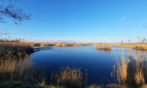 Trka oko tri jezera: Treking liga Srbije počinje, a VTL se nastavlja u Subotici 17. marta