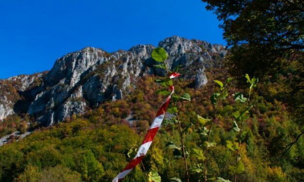 Novo odredište za trekingaše: Lepote planina u Babušnici očekuju ljubitelje prirode u 2. kolu TTLS